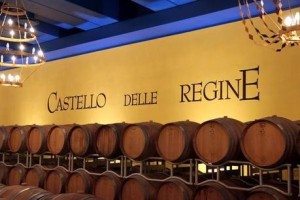 castello-delle-regineclub-vivanova-cronaca-di-L-72NWZj