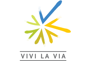 logo_VIVI