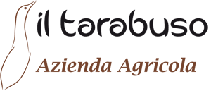 tarabuso-logo-2016-300x129